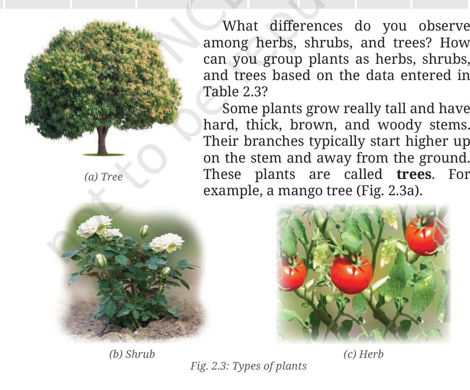 Fig. 2.3 - Types of plants